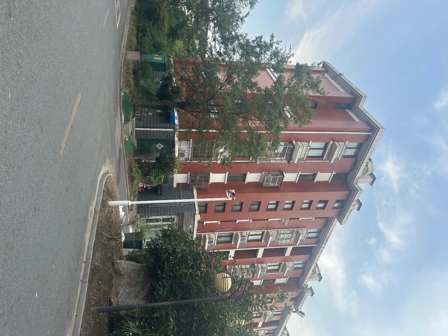 IMG_7586.jpeg
