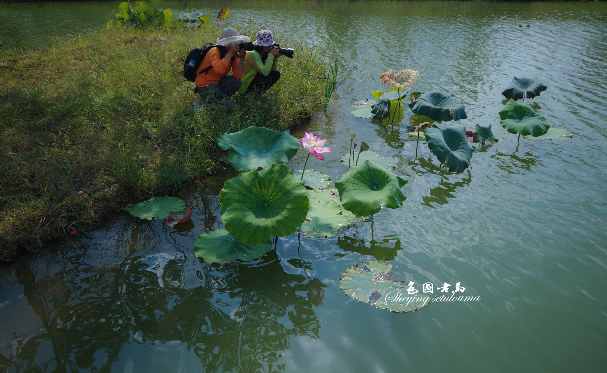 IMGP3965ccvl 拷贝.jpg
