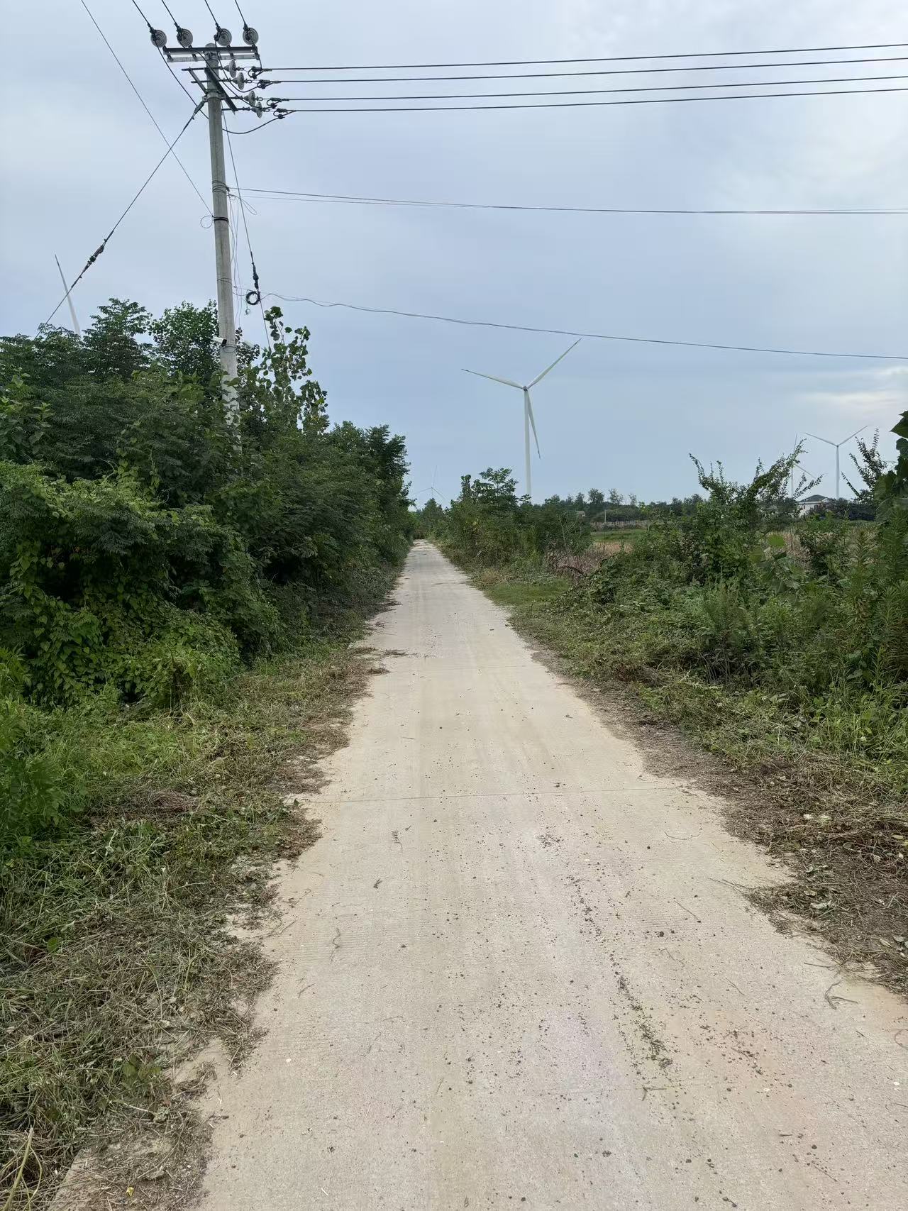 道路清理 (2).jpg