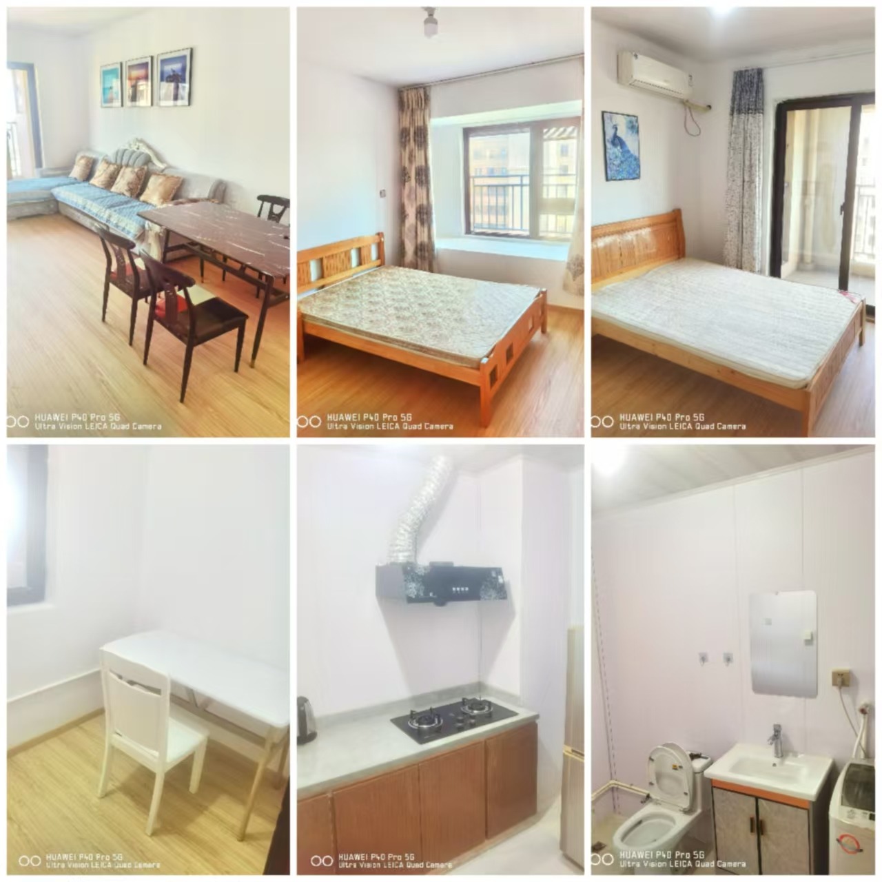 mmexport1734083909526.jpg
