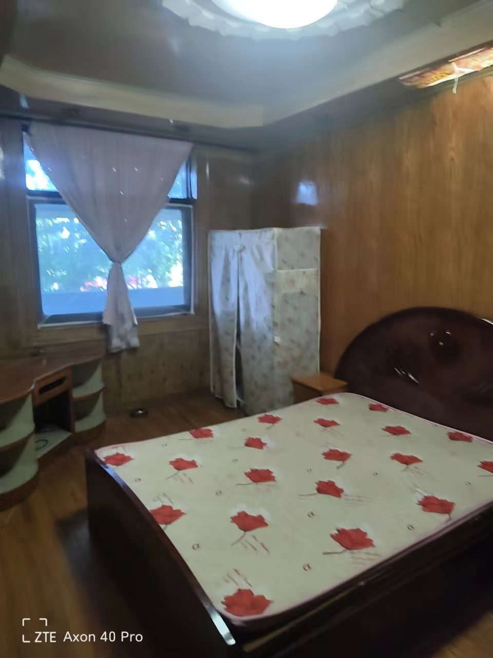 mmexport1757154576064.jpg