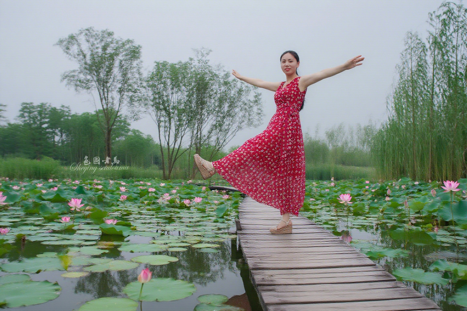 图片ccv.jpg