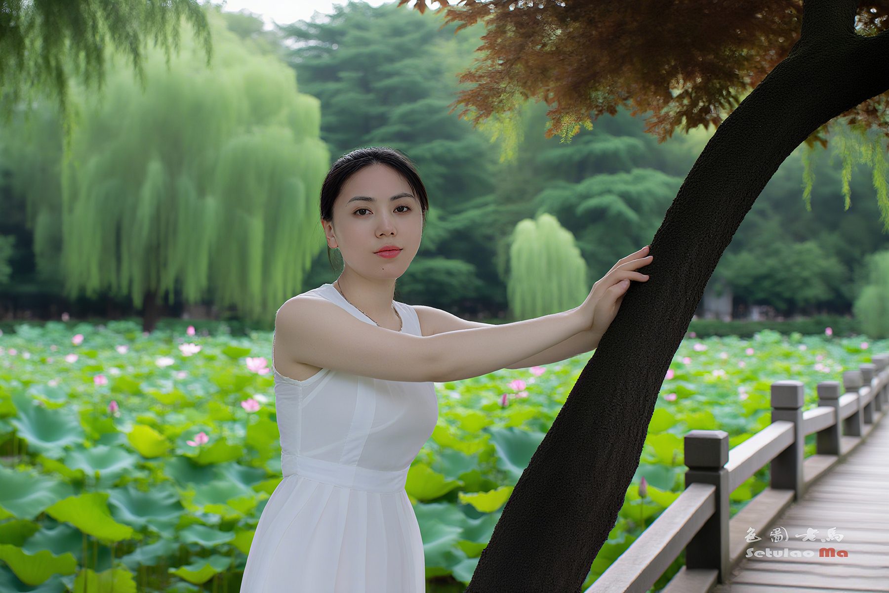 新对话 (1)ccv.jpg