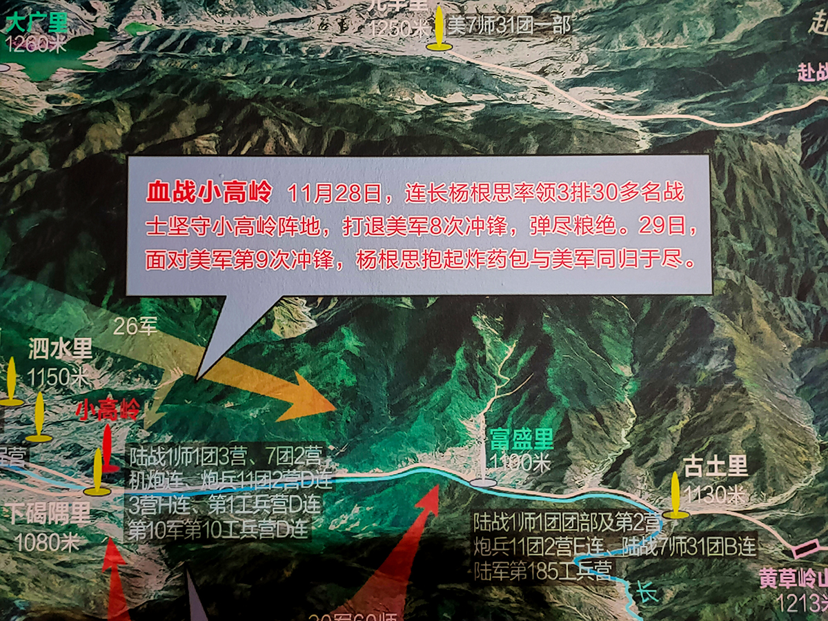 IMG20250325143020 .jpg
