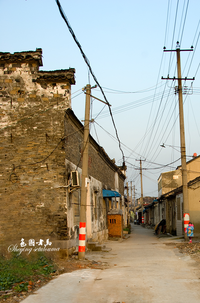 _IGP9458ccv.jpg