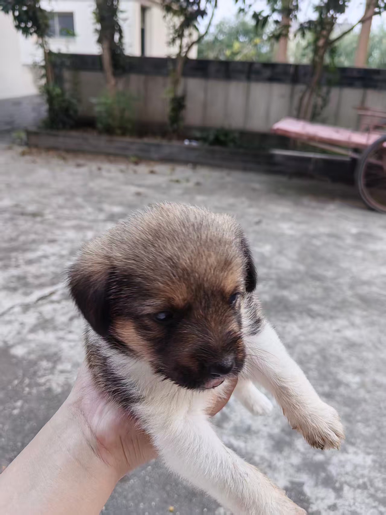微信图片_20251006224314.jpg
