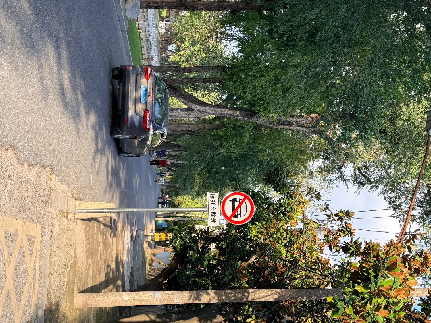 IMG_5711.jpeg