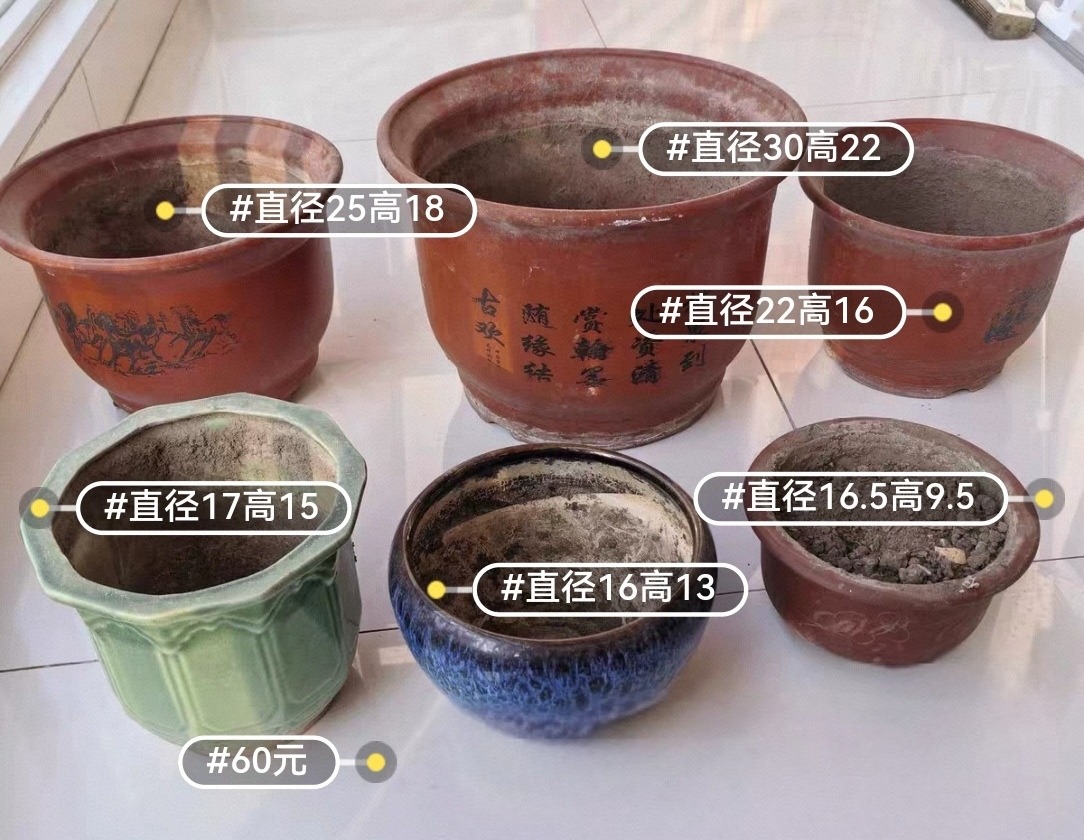 Screenshot_20251028_191027_com.taobao.idlefish_edit_644530902563108.jpg