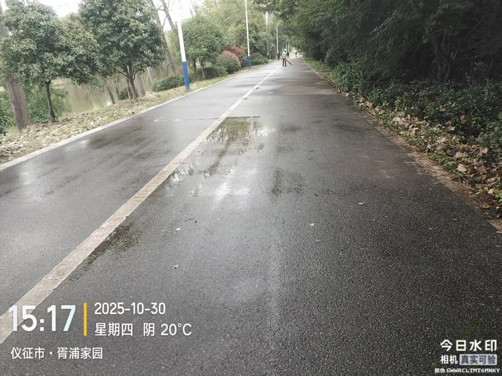 f51ce32603cb969d4833b41660a74d0d.jpg