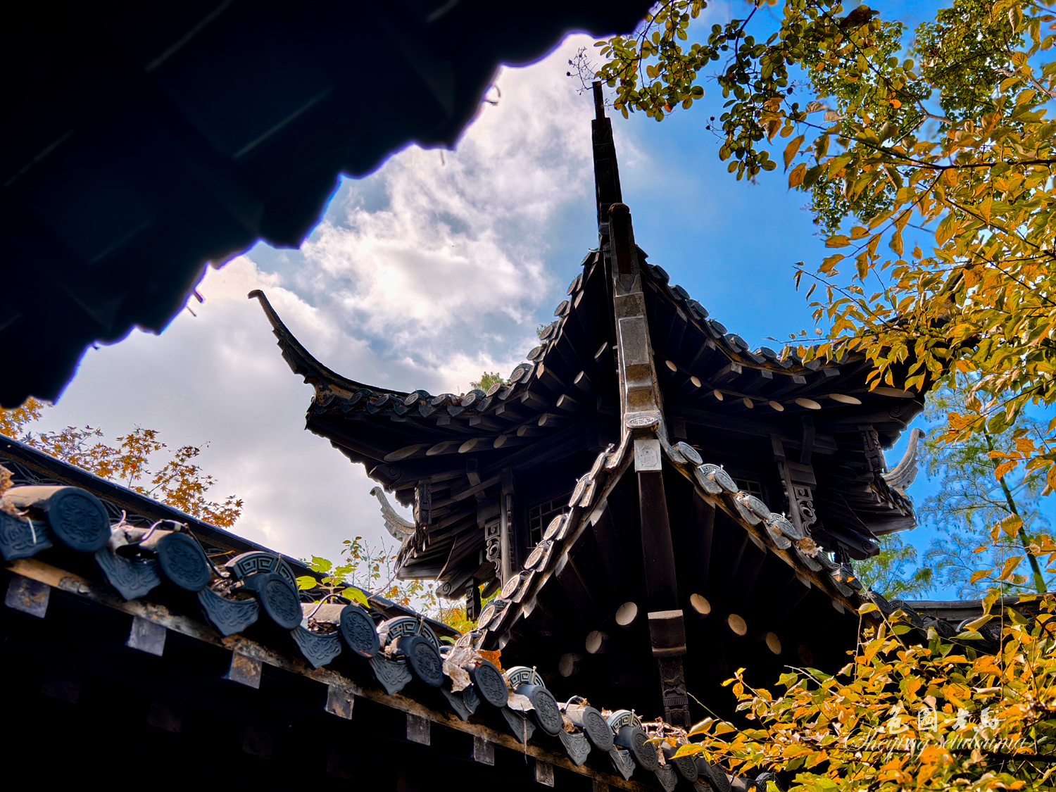 IMG_20251031_115608 拷贝.jpg