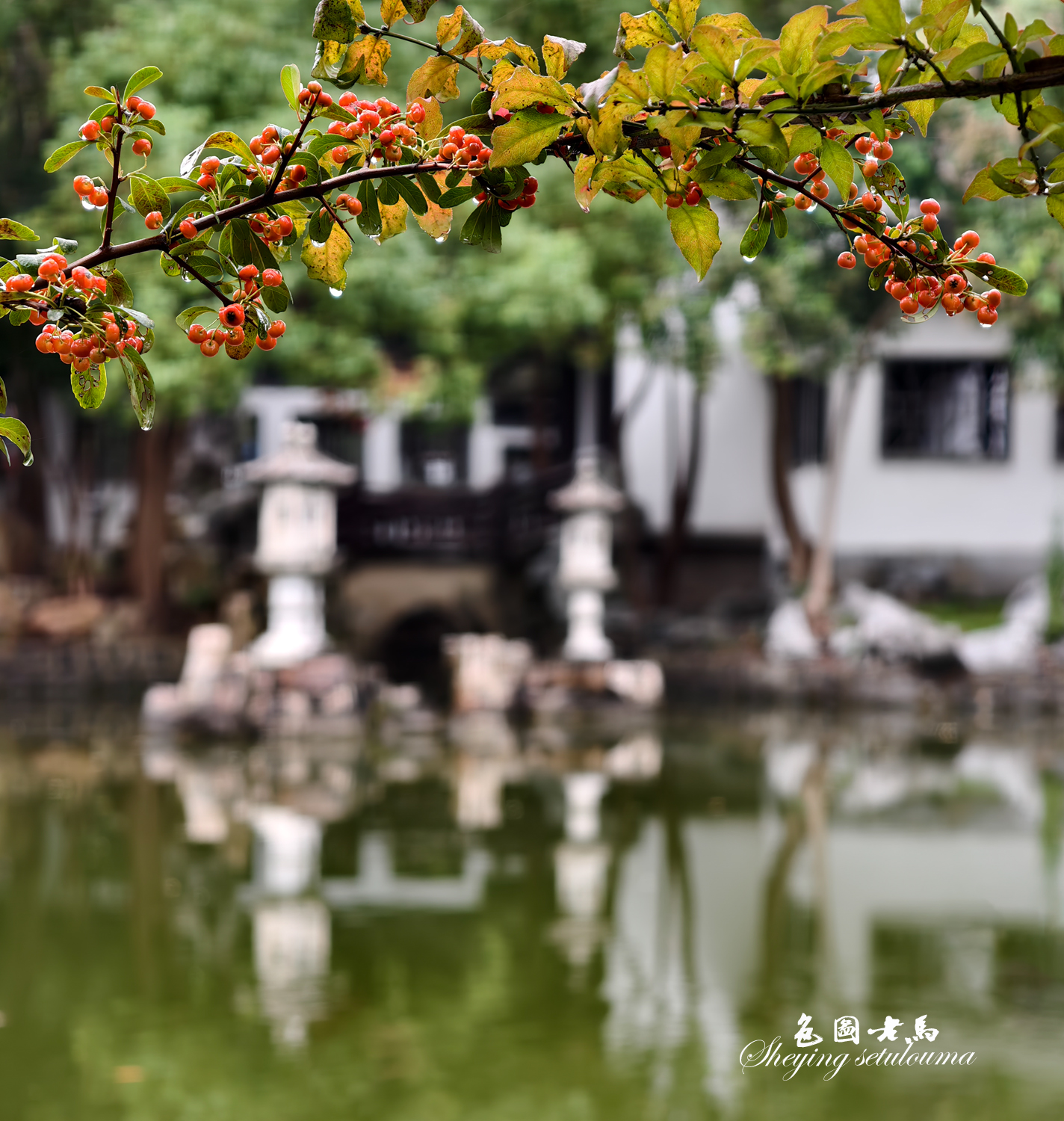 IMG_20251031_094858 拷贝.jpg