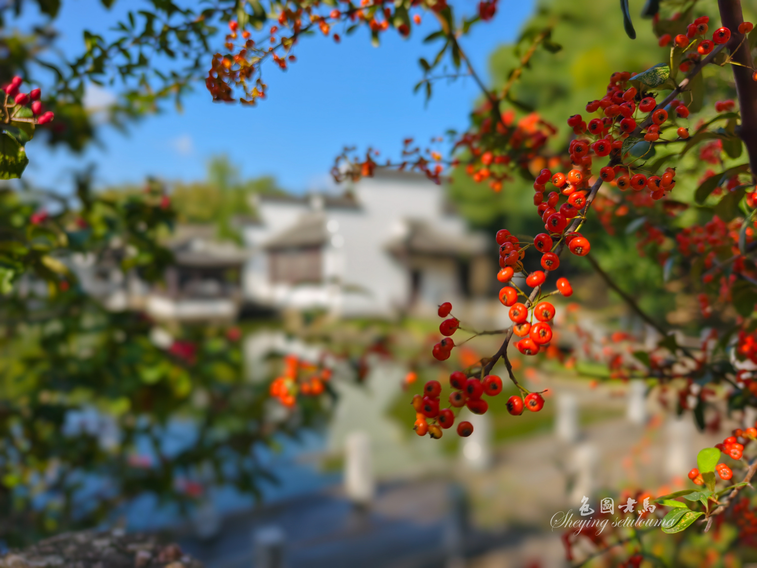 IMG_20251031_105453 拷贝.jpg