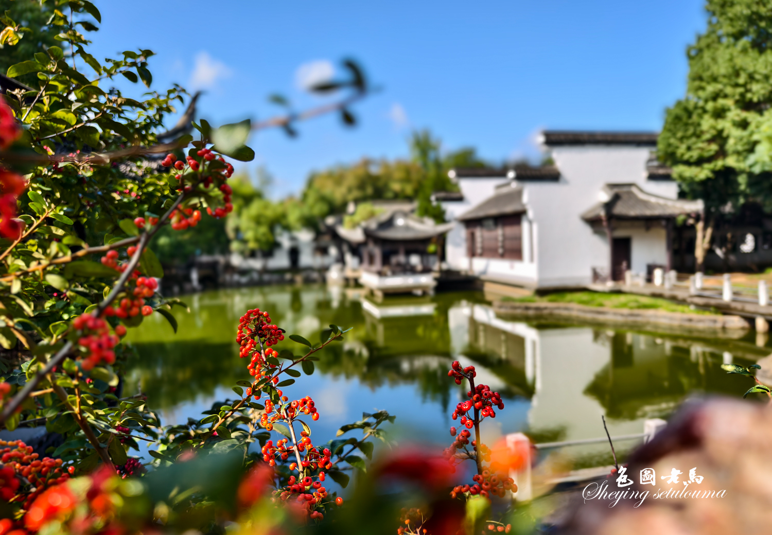 IMG_20251031_105537 拷贝.jpg