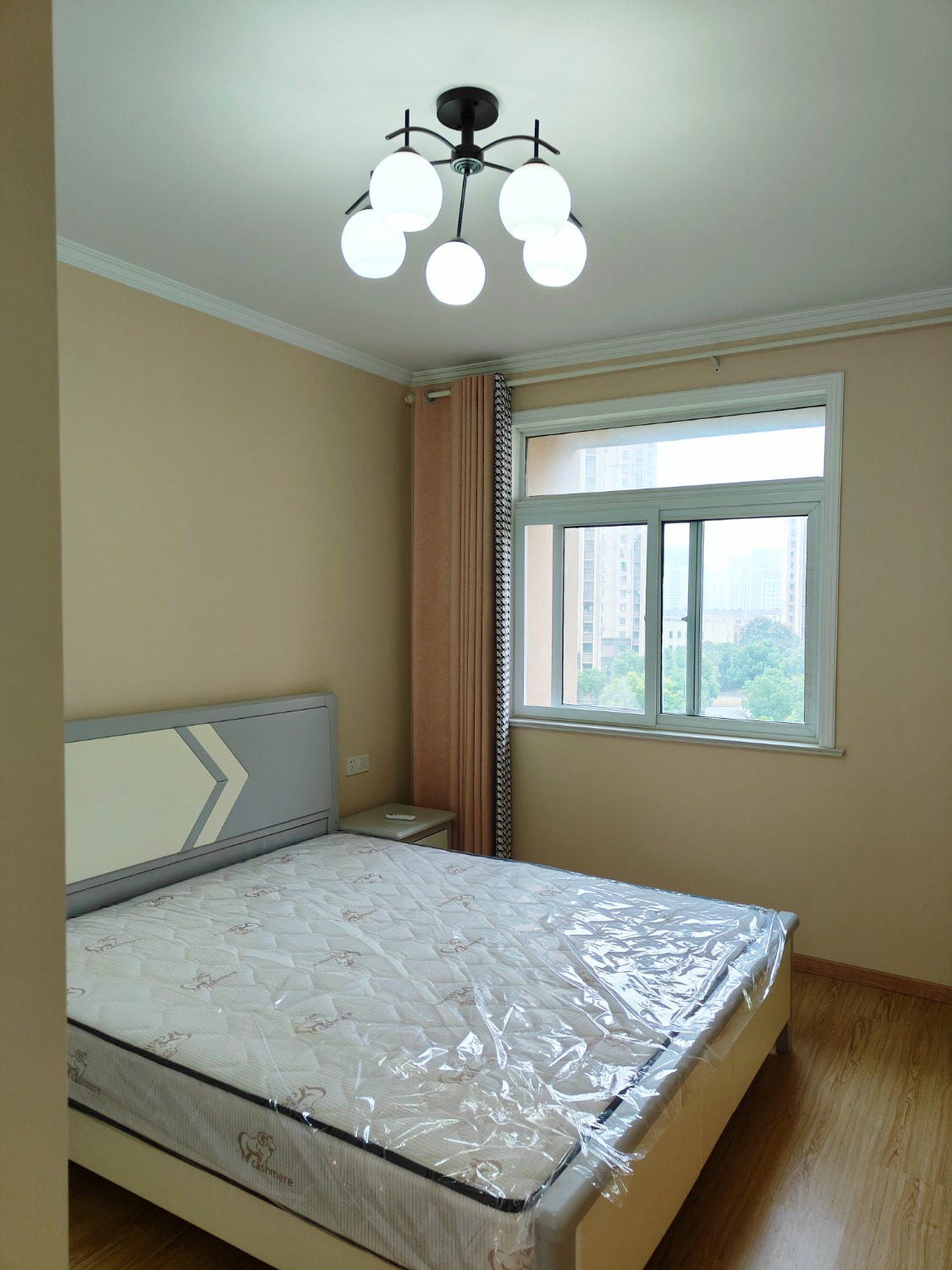 IMG20241028073434.jpg