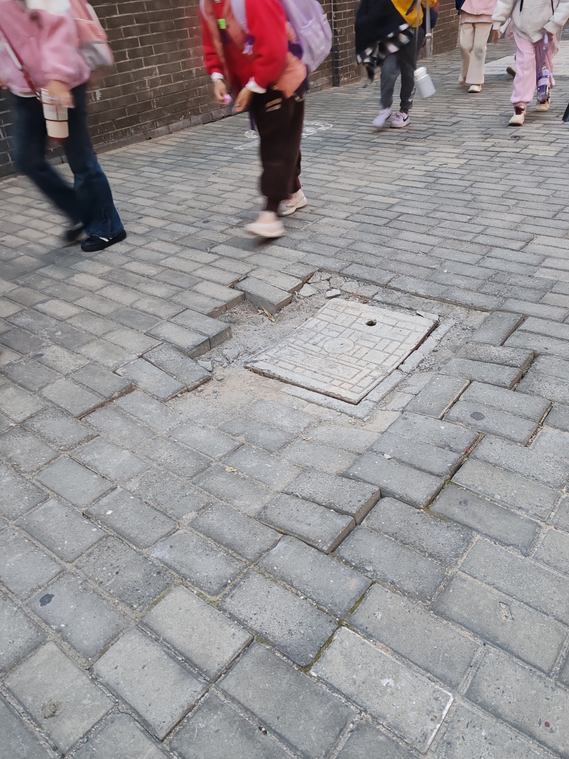 ba39b1767068d082a82553abbce66556.jpeg