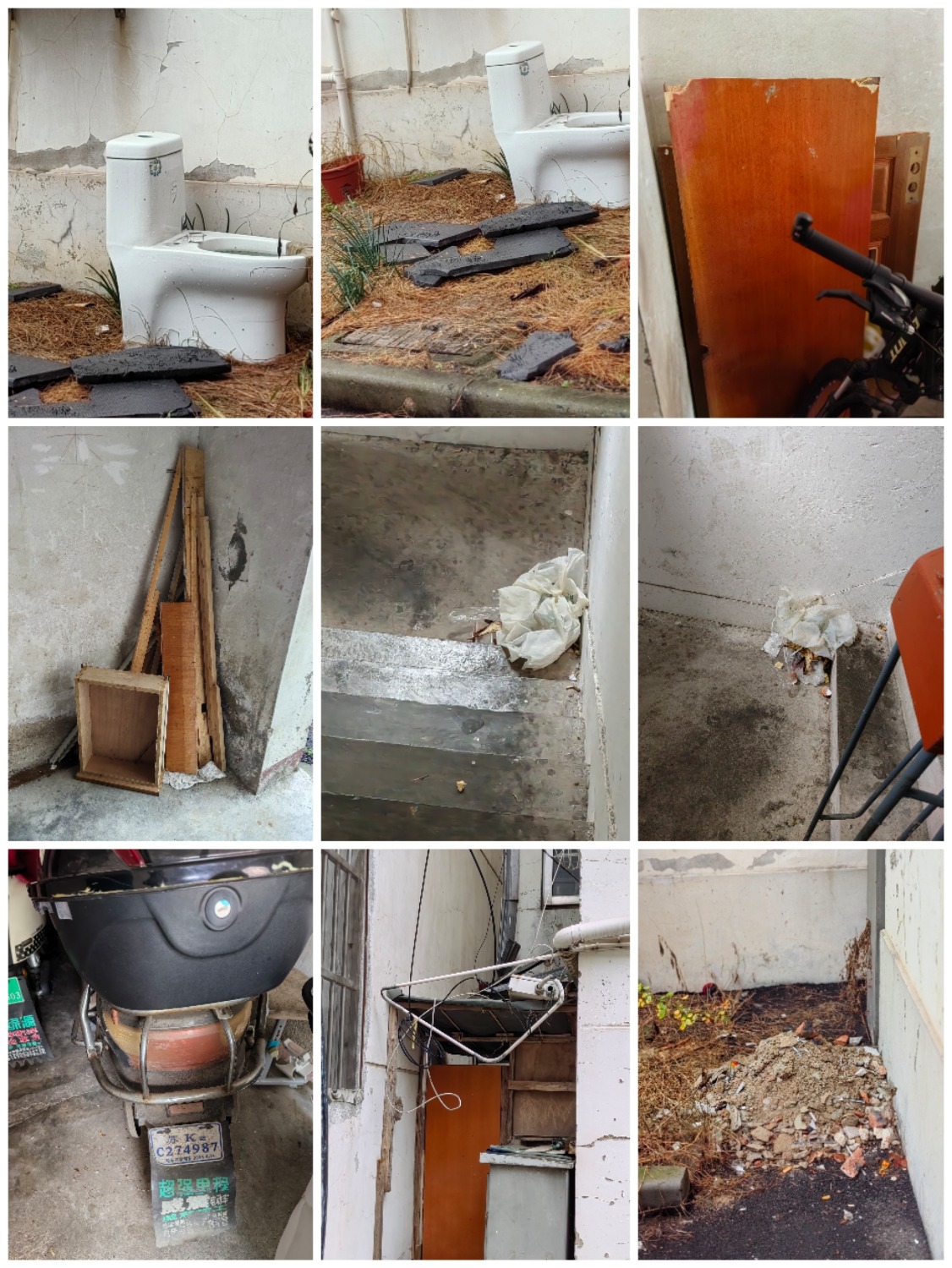 Collage_20251109_091745.jpg