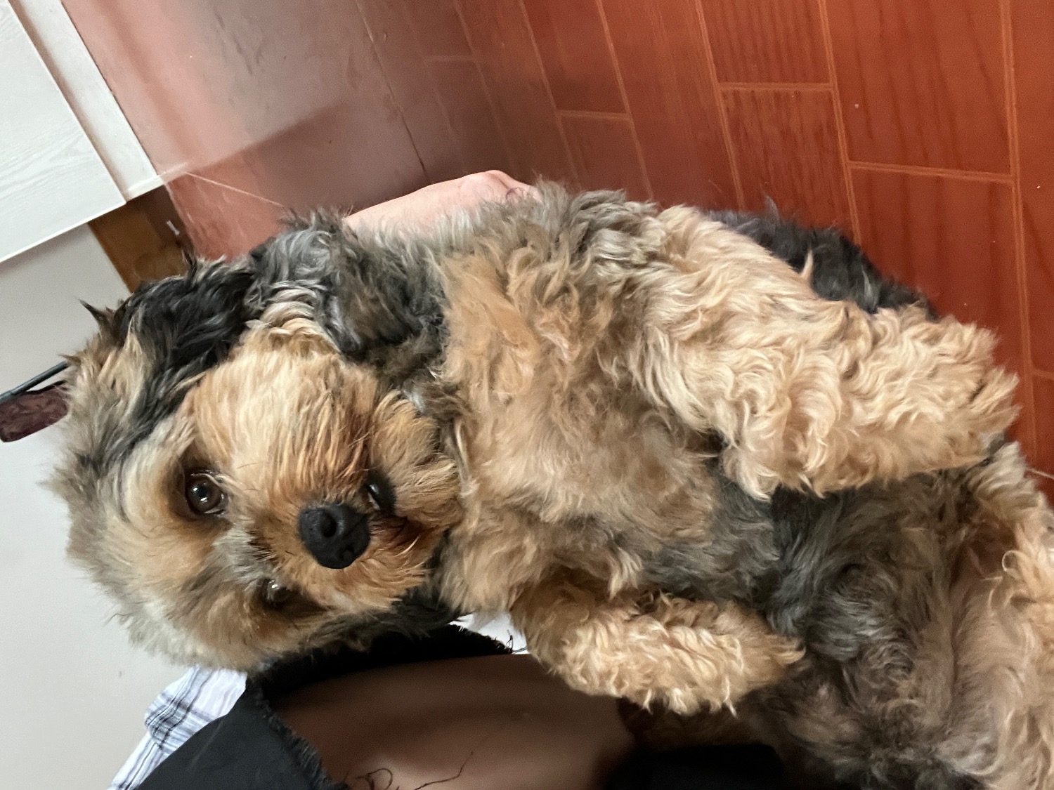 IMG_0473.jpeg