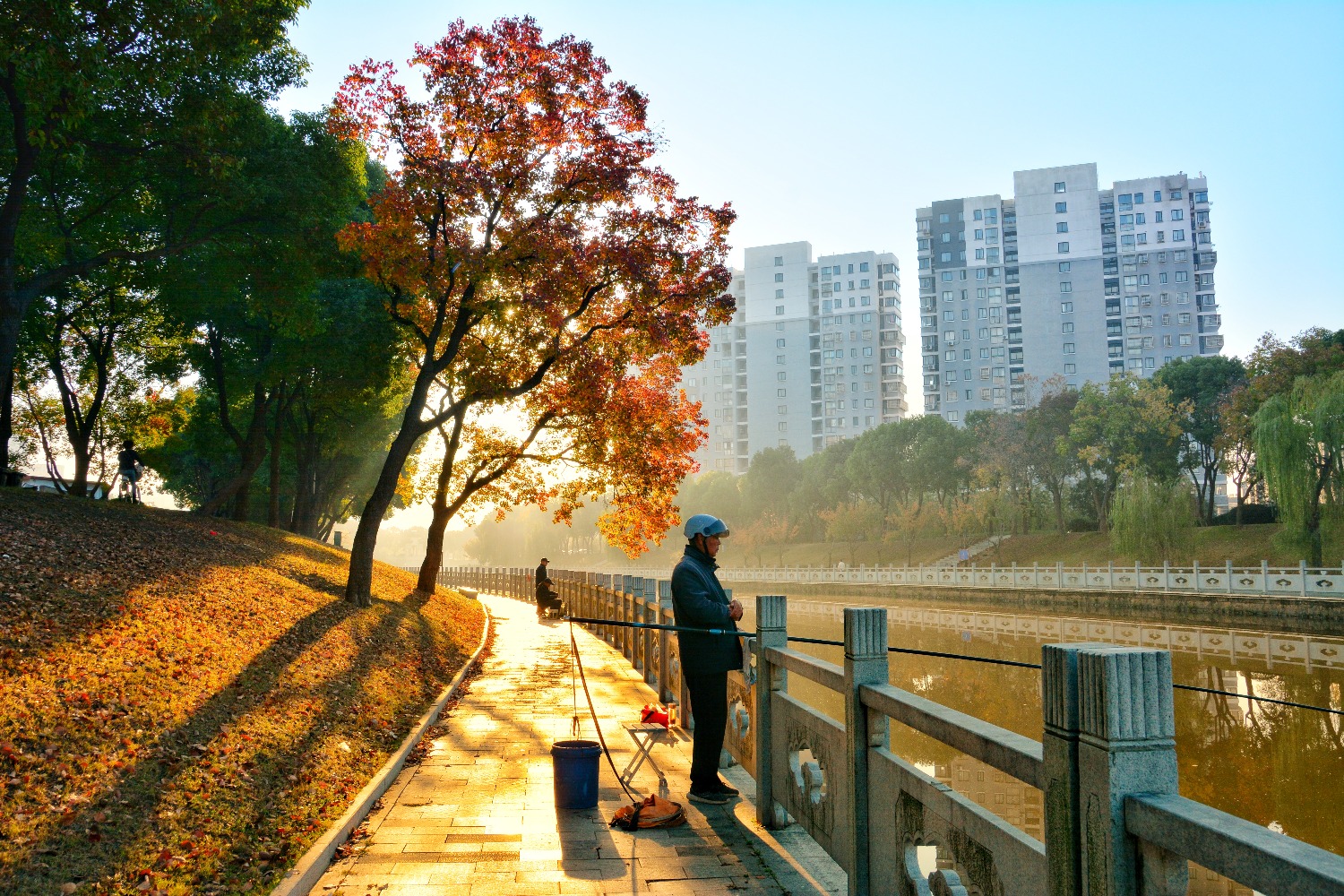 DSC_7328-01.jpeg