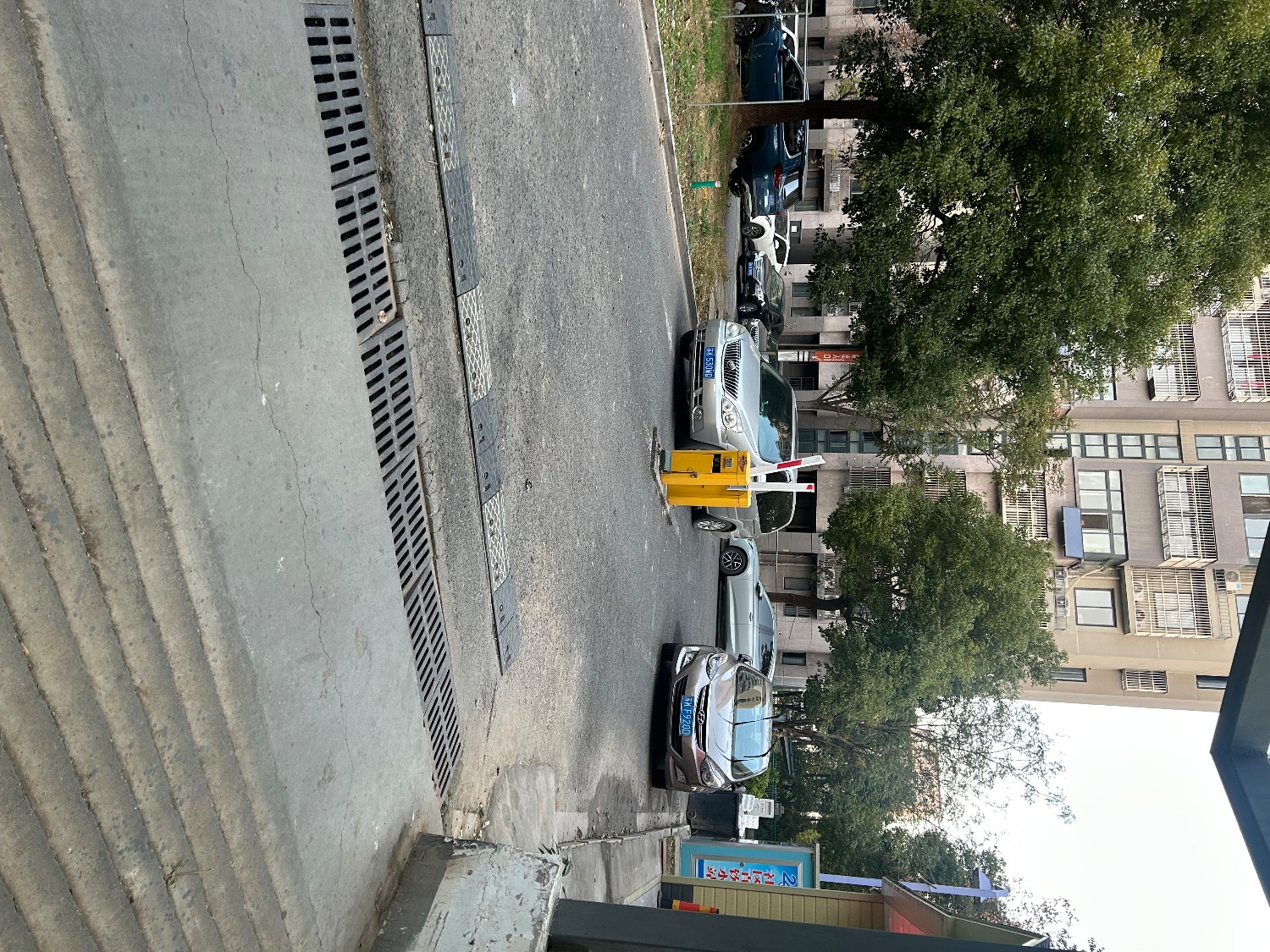 IMG_9020.jpeg