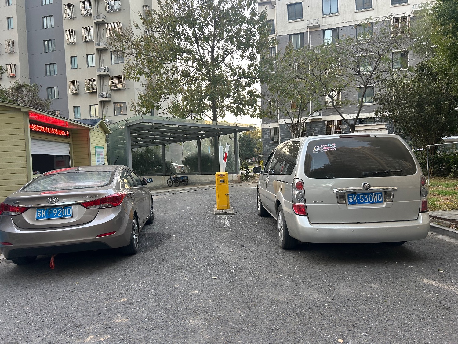 IMG_9021.jpeg