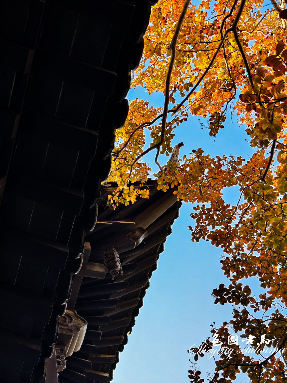 IMG_20251129_101713 拷贝.jpg