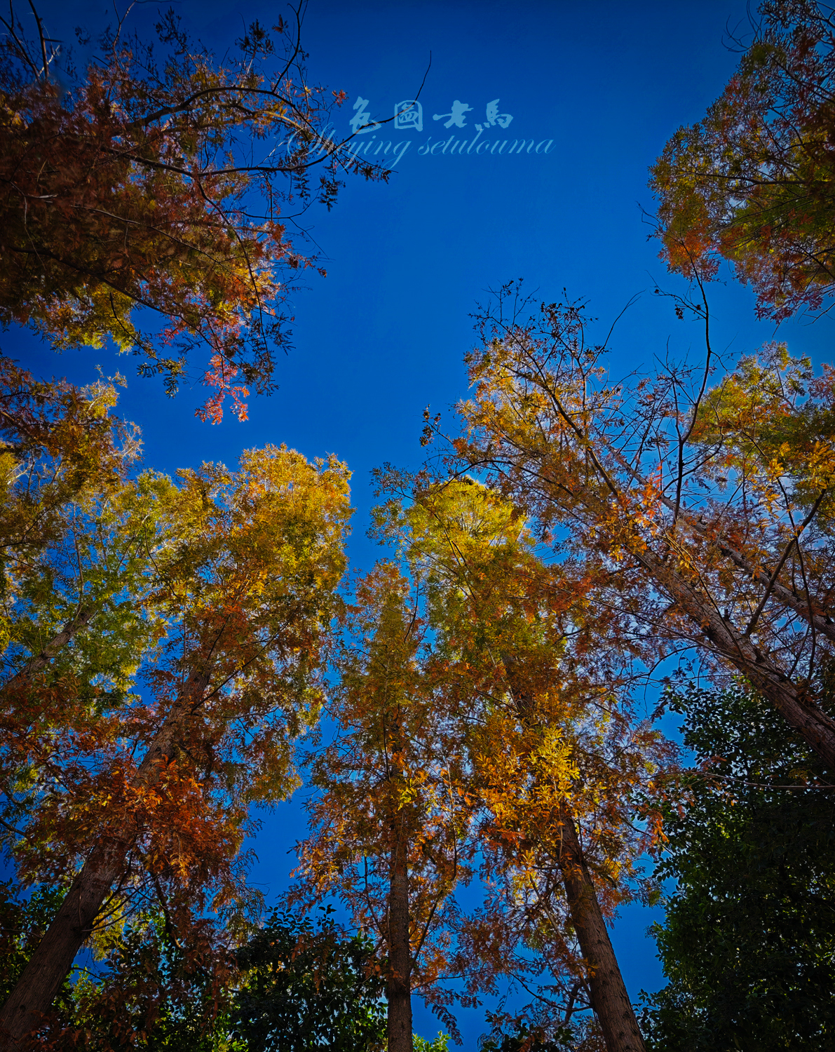 Mix_20251129_094254 拷贝.jpg