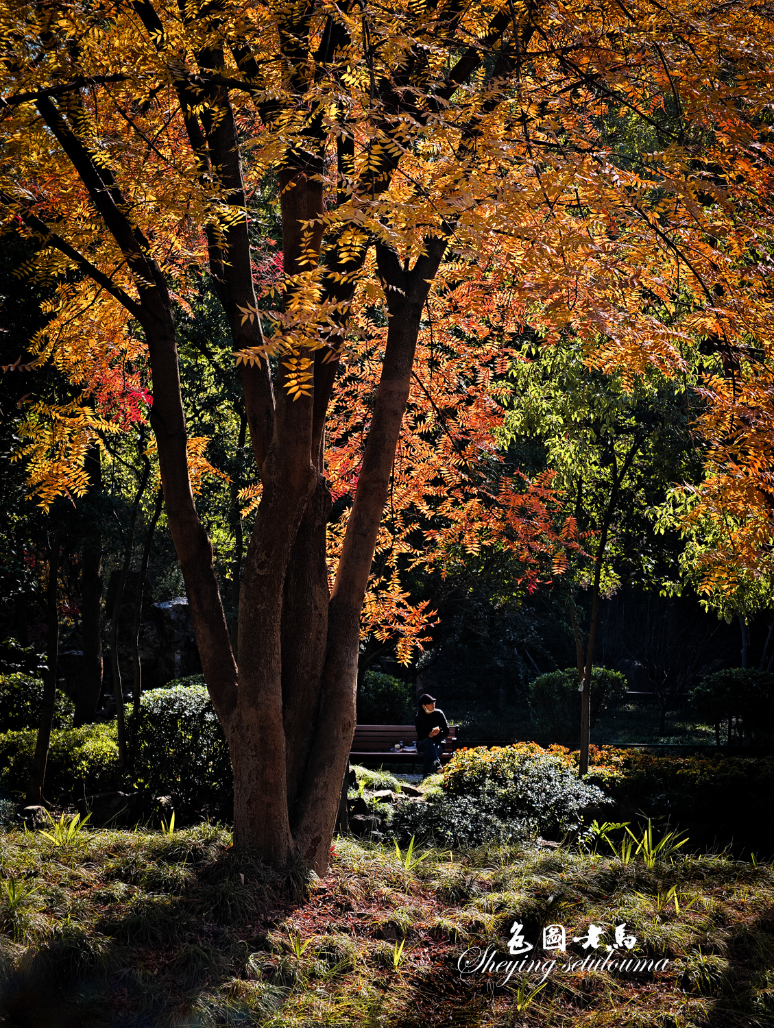IMG_20251129_112844 拷贝.jpg