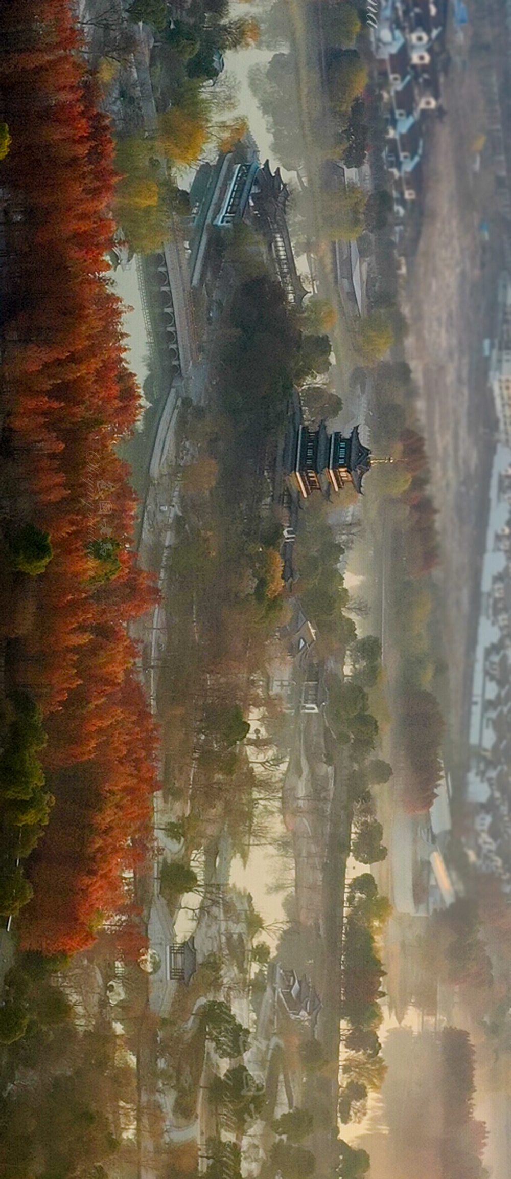 DJI_0553ccv.jpg