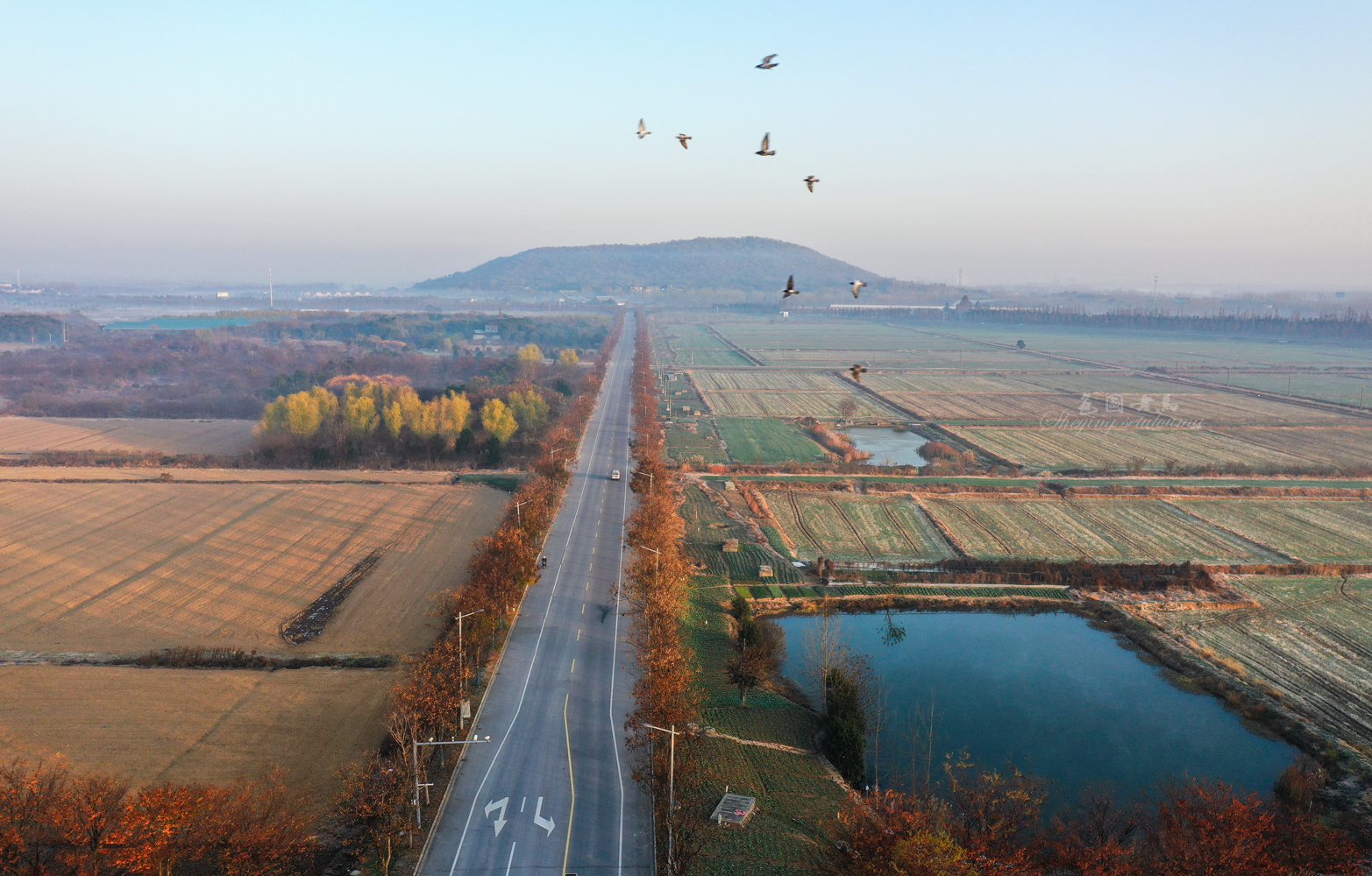 DJI_0565ccv.jpg
