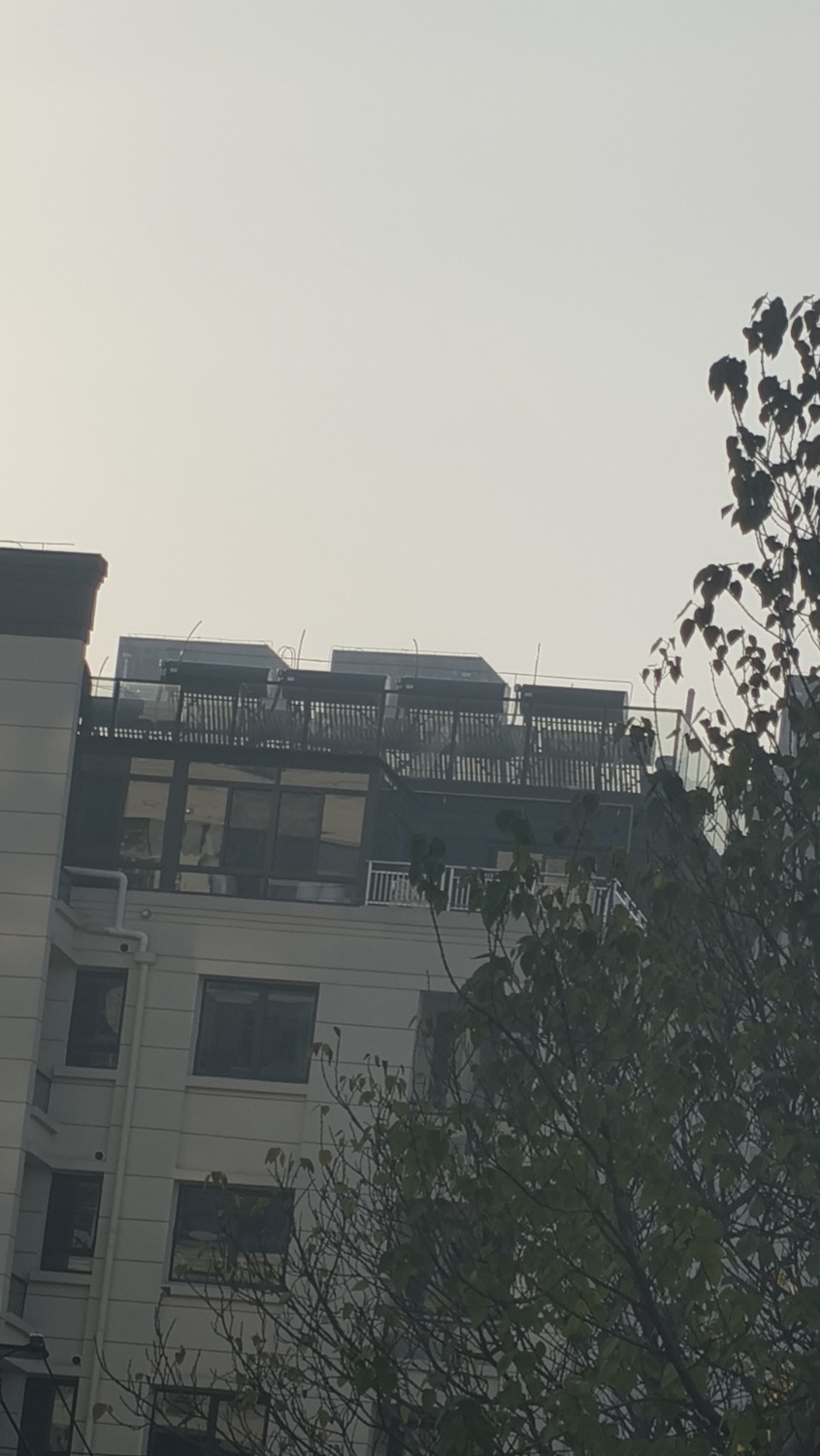 wx_camera_1765844496795.jpg