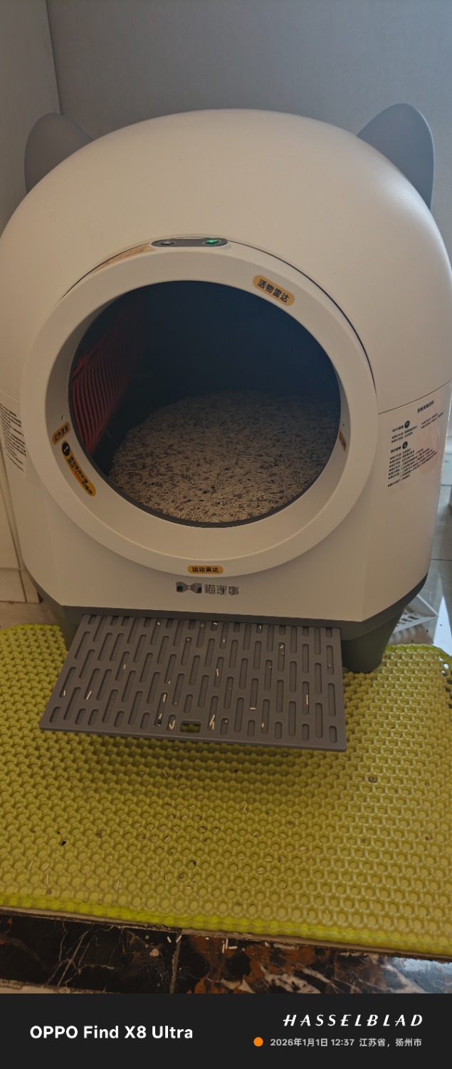IMG20260101123701.jpg