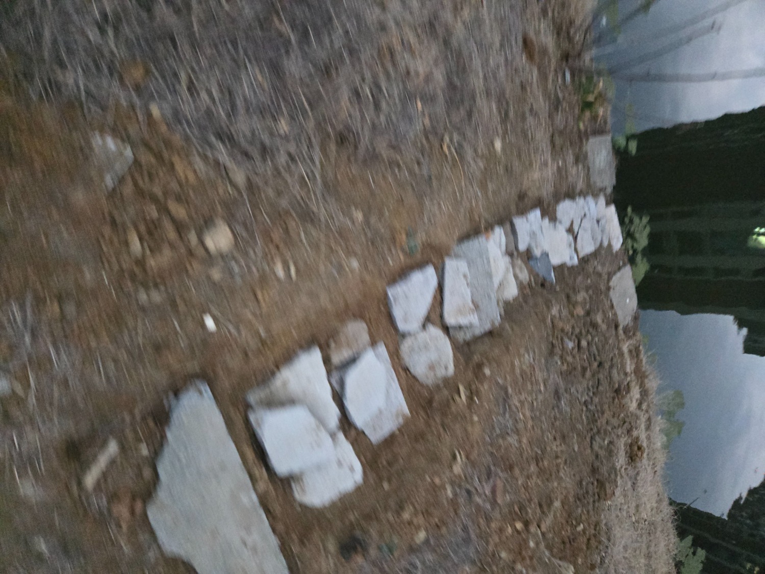 20260129_174154.jpg