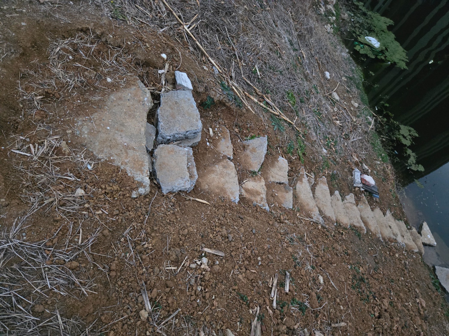 20260129_174137.jpg