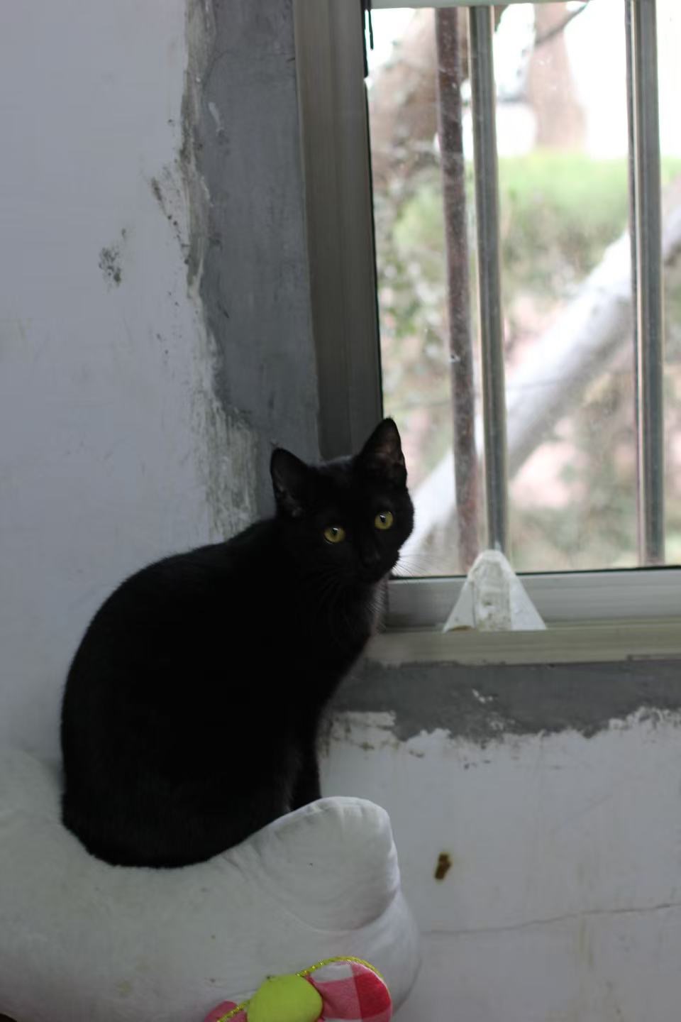 69718C3B-2690-4E4E-A758-805E333AB1FC.jpeg
