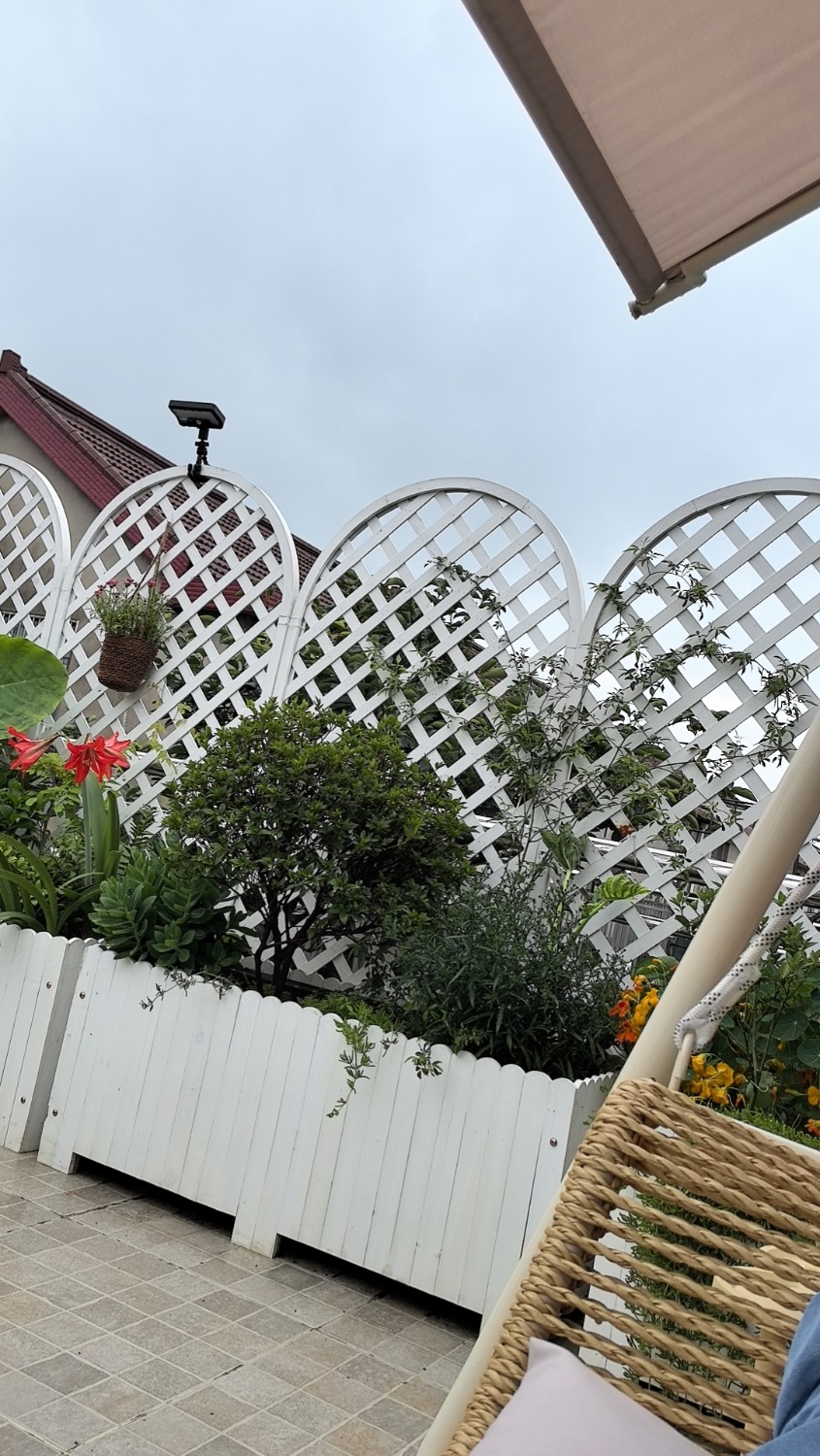 wx_camera_1749263271964.jpg