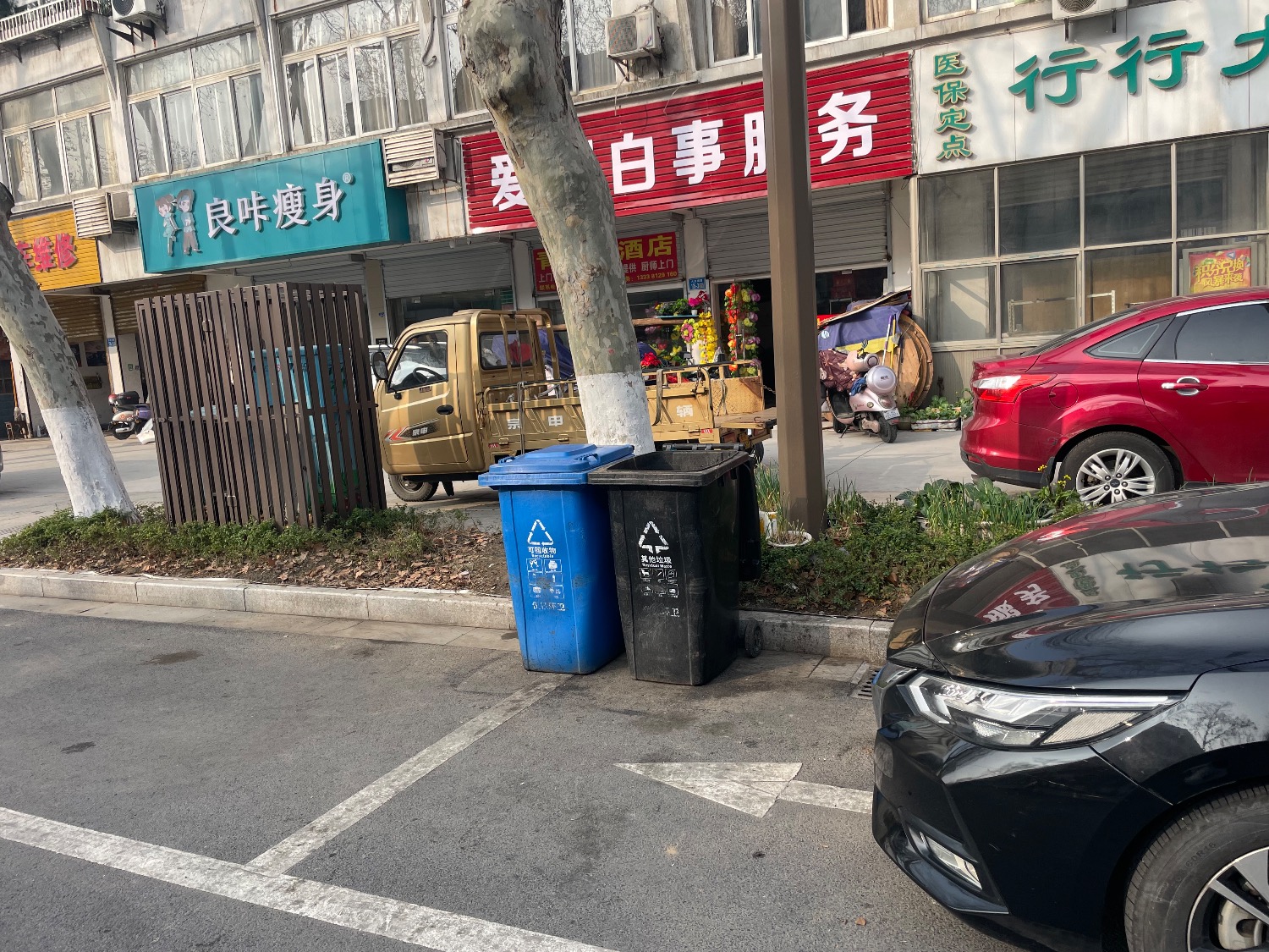 IMG_3109.jpeg