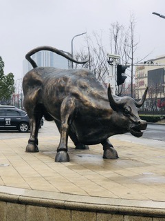 IMG_0290.jpeg