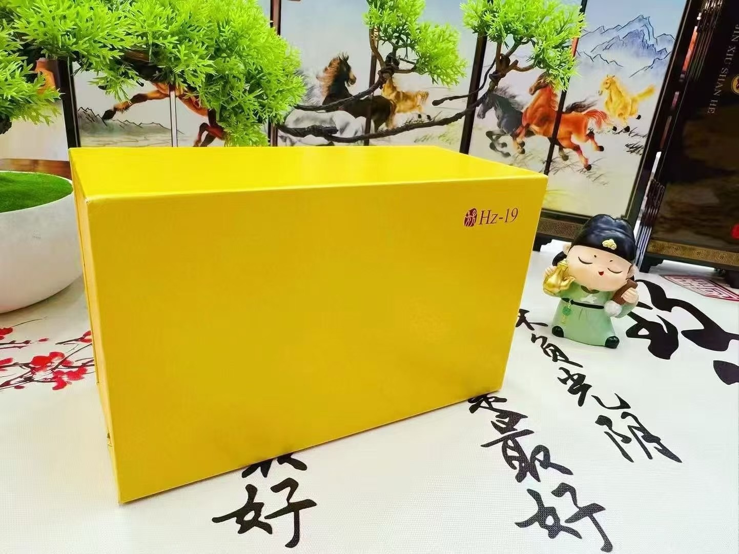 8554.jpg