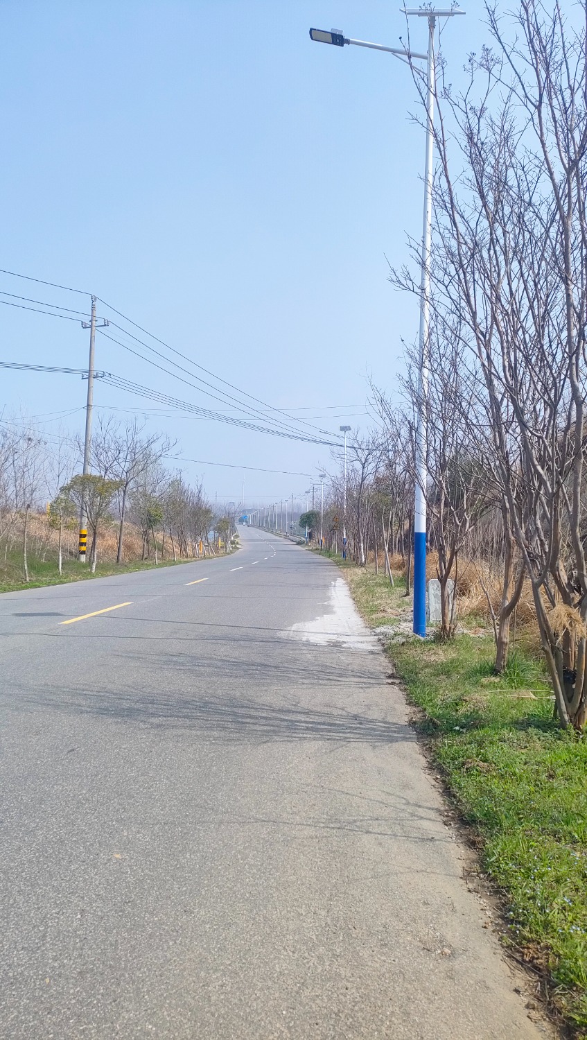 IMG20260321104626.jpg