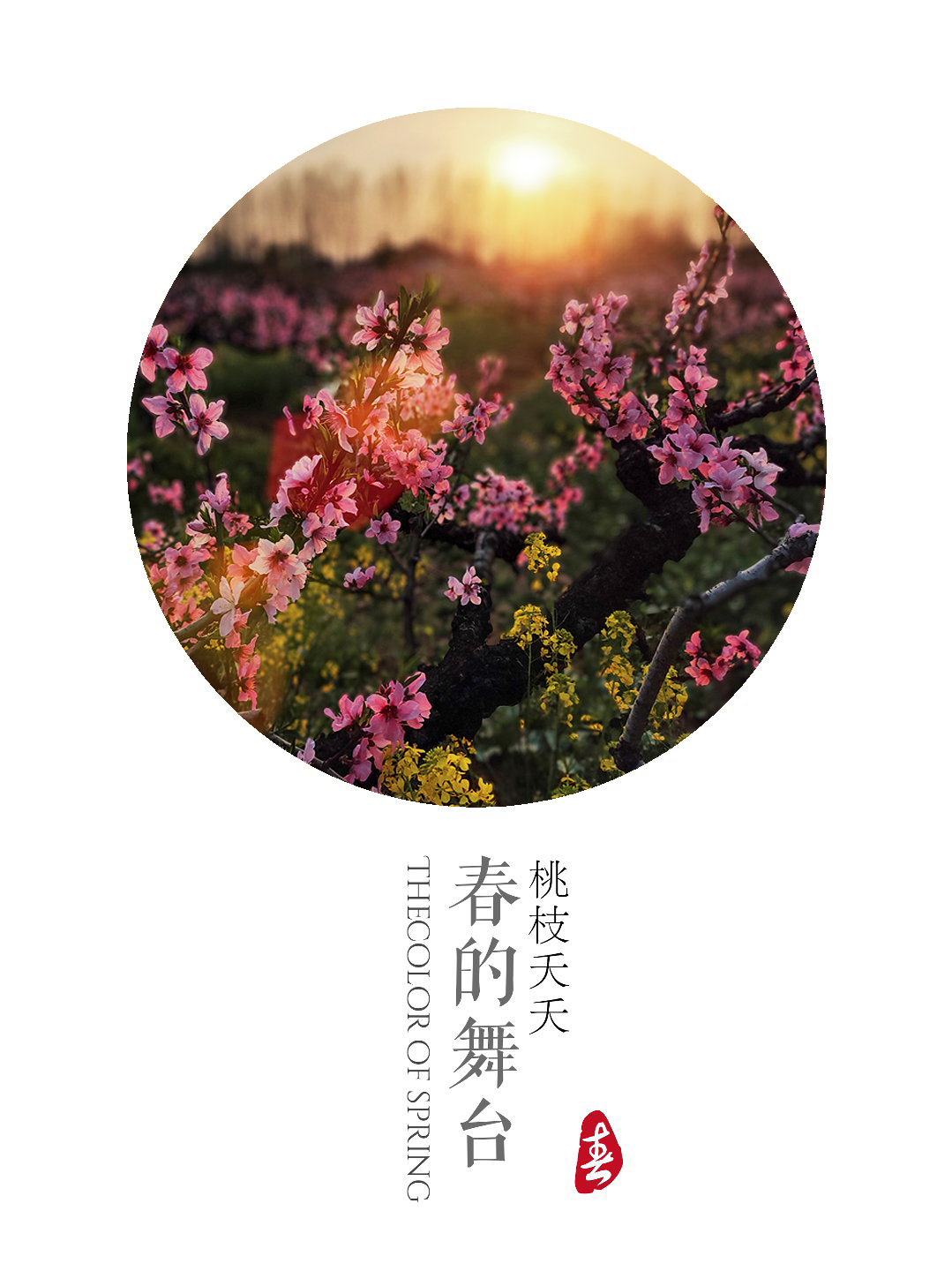 48aa5e831dea5820accv.jpg