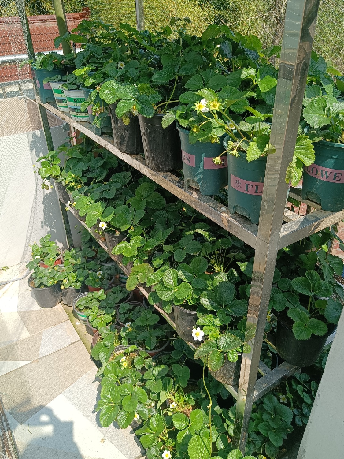 IMG_20260325_125514.jpg