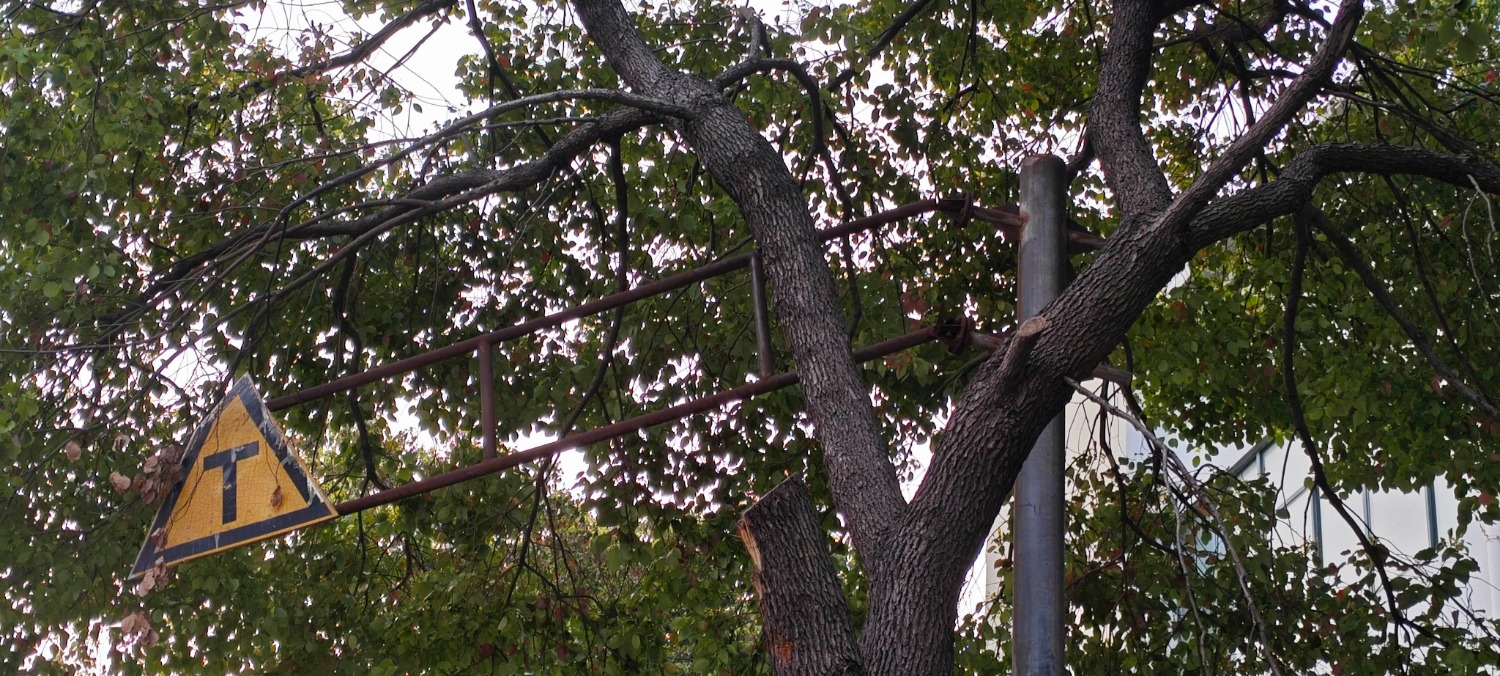 MVIMG_20260329_180613.jpg
