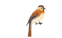 640?wx_fmt=gif&from=appmsg.jpg