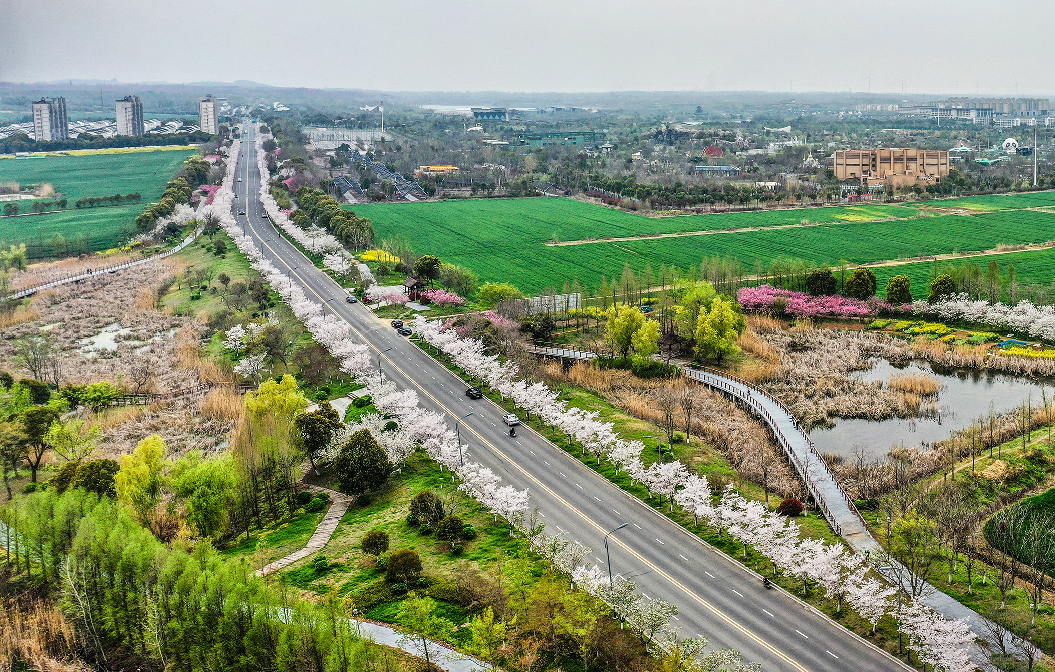 DJI_0732 Panoramaccv.jpg