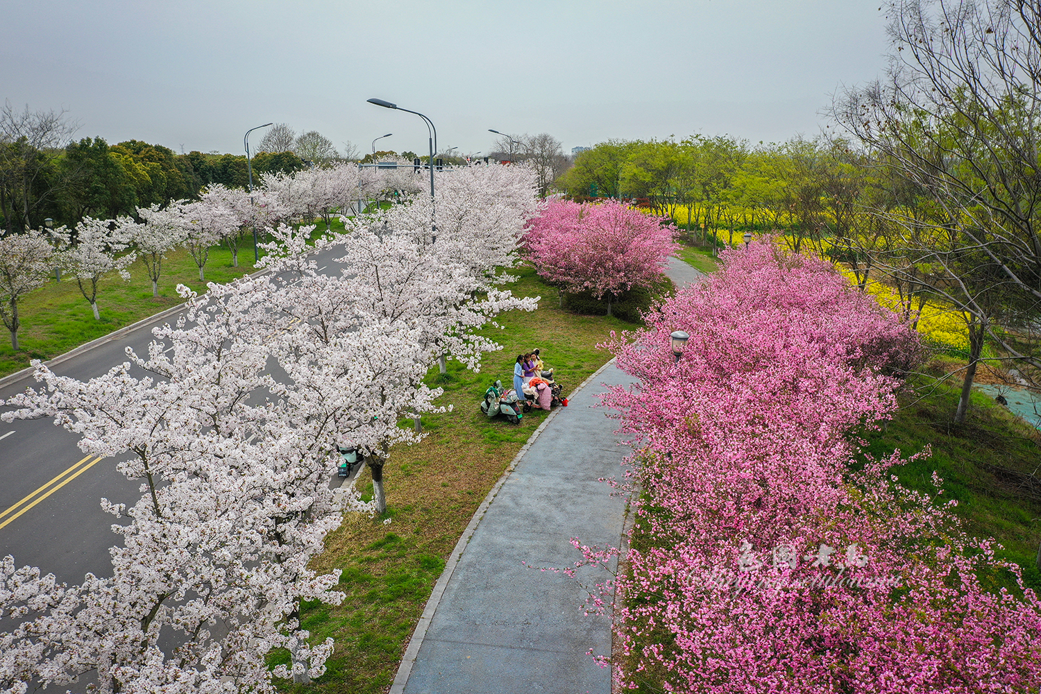 DJI_0715ccv.jpg