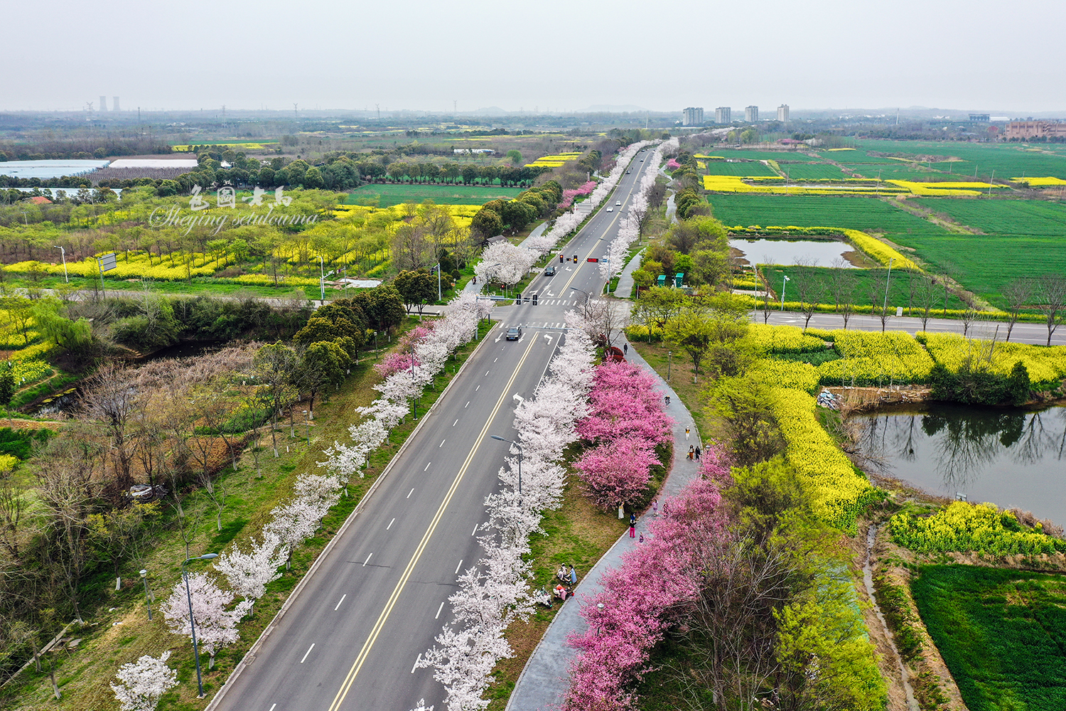 DJI_0722ccv.jpg