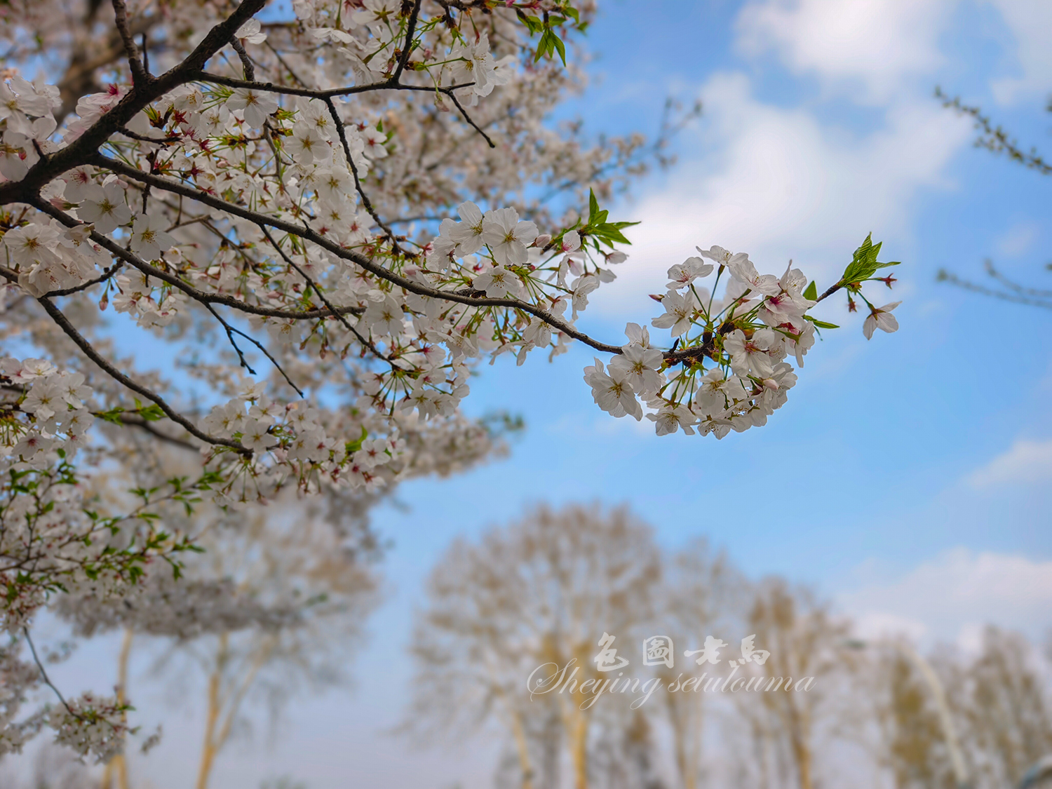 微信图片_20260401213207ccv.jpg