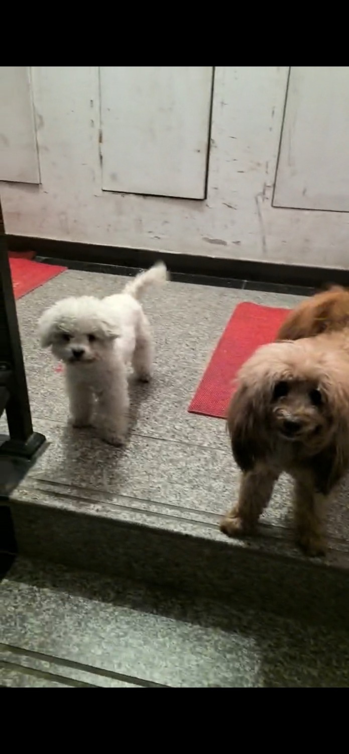 Screenshot_20260407_013929_com.huawei.himovie.local.jpg