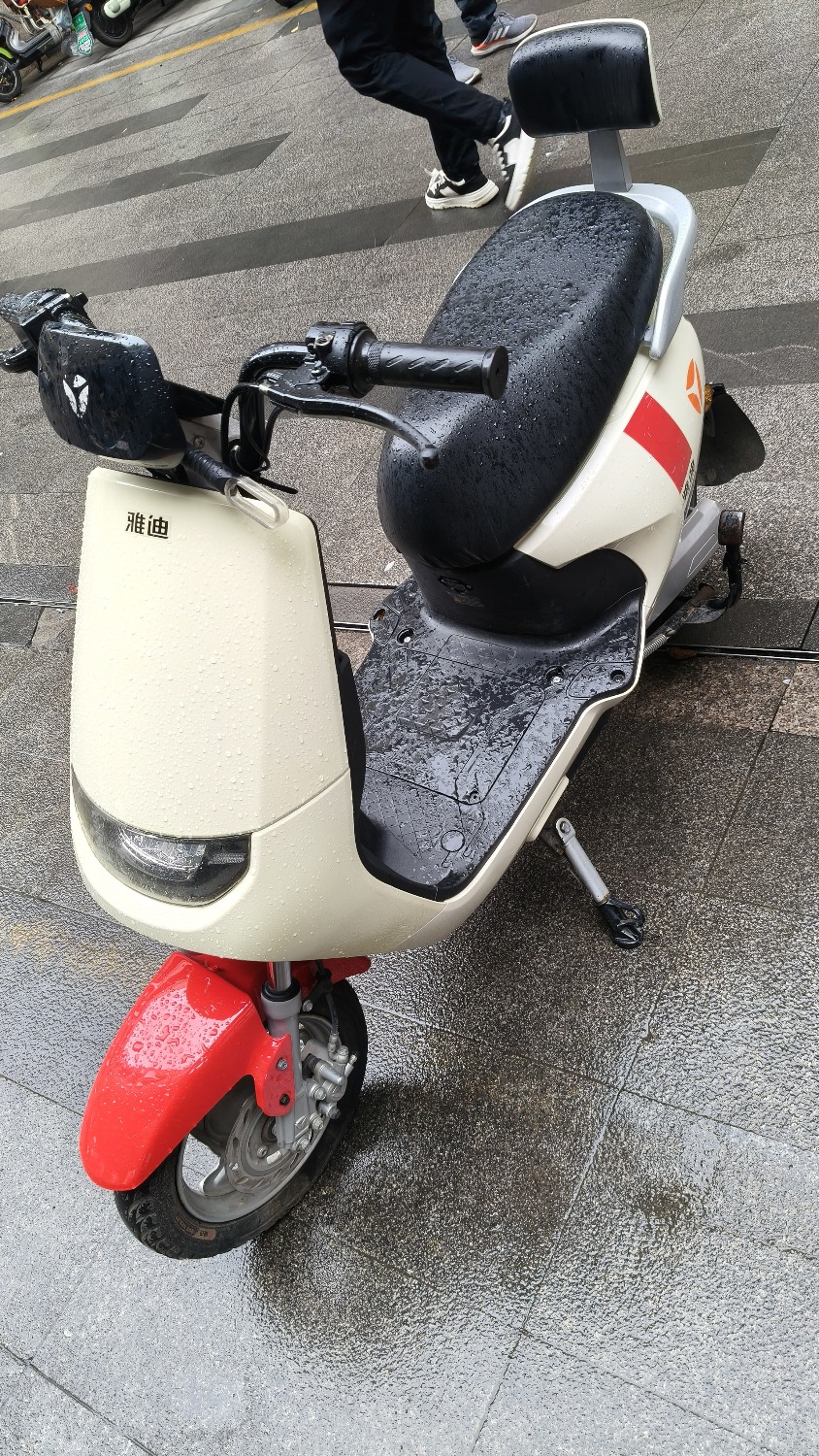 IMG20260409131117.jpg