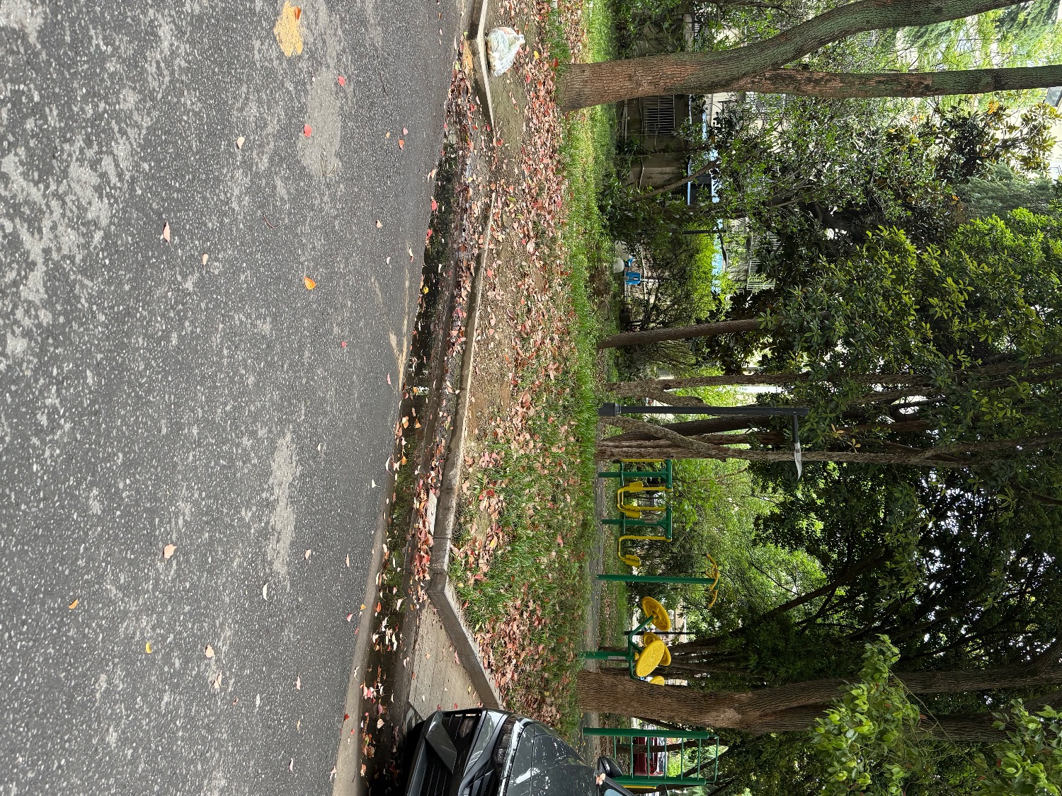 IMG_0203.jpeg